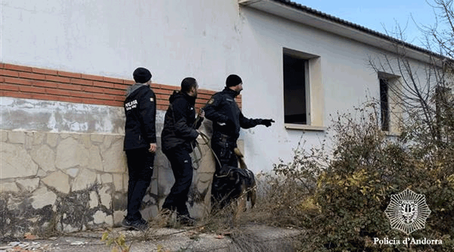 Actuació simulada de la Policia d'Andorra i dels Mossos amb gossos dels respectius cossos (Policia d'Andorra)