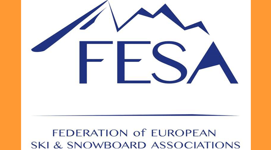 Nou anagrama corporatiu de FESA (FAE)