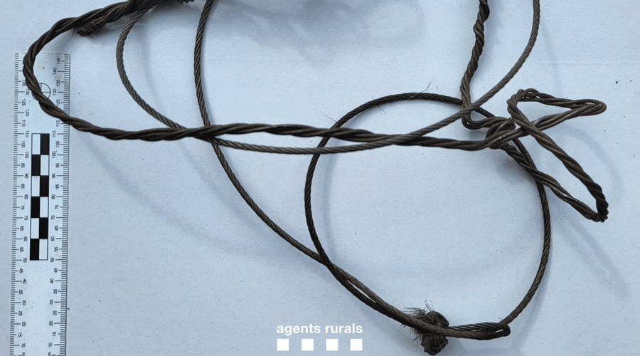 Imatge de detall del llaç prohibit per caçar animals trobat a la Reserva Alt Pallars (Agents Rurals)