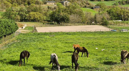 Terrenys i cavalls de l'Escola Agrària del Pirineu