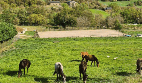 Terrenys i cavalls de l'Escola Agrària del Pirineu