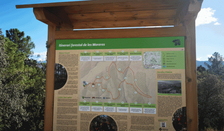 Punt informatiu sobre l'itinerari forestal de les Moreres