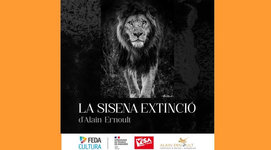 Cartell de la mostra "La Sisena Extinció" (FEDA Cultura)