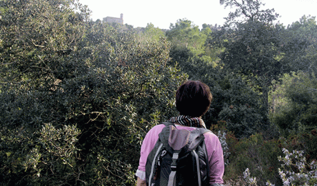 Vespella de Gaià és un museu a l'aire lliure