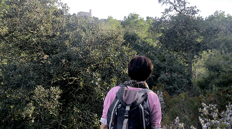 Vespella de Gaià és un museu a l'aire lliure (surtdecasa.cat)