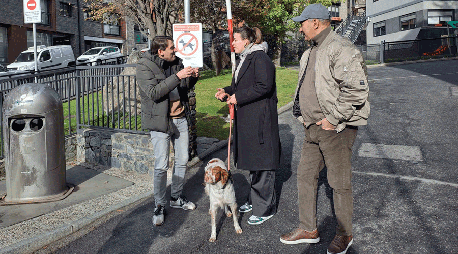 La candidata número 7 de la llista d'Avancem, Gisela Escolà, amb un gos a Encamp (PS)