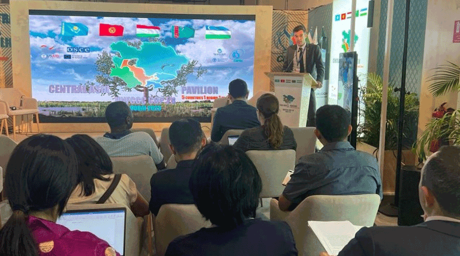 David Forné a la Conferència dels Estats Part (COP 28) del Conveni Marc de les Nacions Unides sobre el Canvi Climàtic (SFGA)