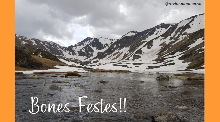 Nadala del departament de comunicació (Montserrat Rovira) de l'Ajuntament de la Seu
