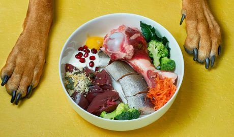 Els animals també necessiten menjar saludable i equilibrat