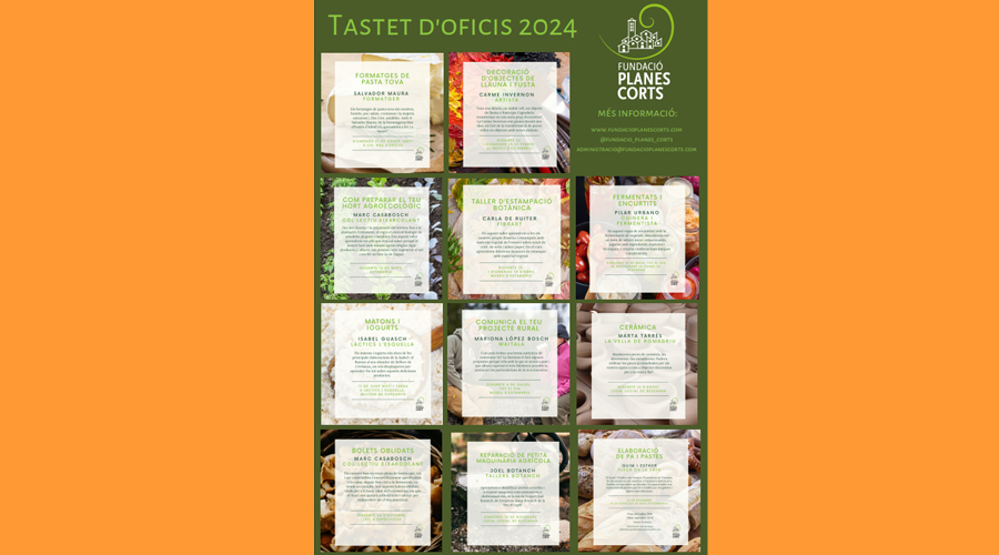 Cartell del cicle Tastet d'Oficis 2024 (Fundació Planes Corts)