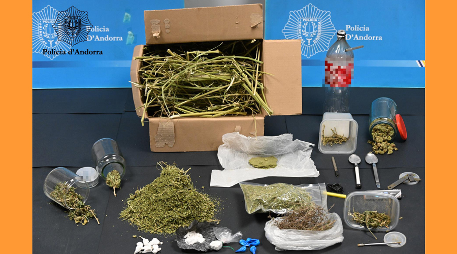 Droga intervinguda en l'operació Bronx