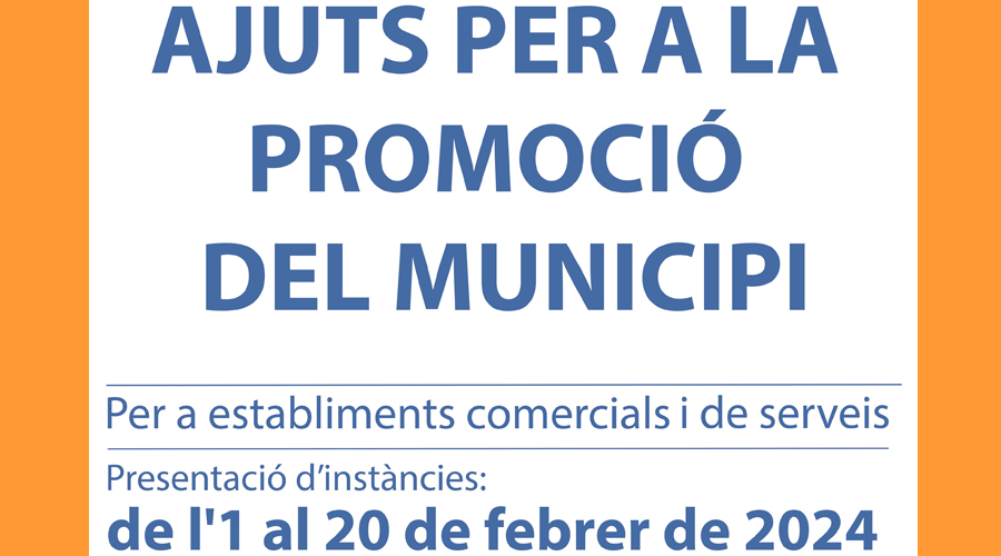 Cartell anunciant els ajuts per a la promoció del municipi a la Seu (Aj. la Seu)