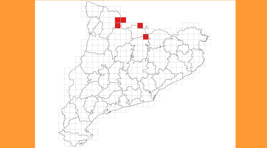 Zones on, a Catalunya i Andorra, es poden trobar encara exemplars de la donzella de la bistorta (Gencat.cat)
