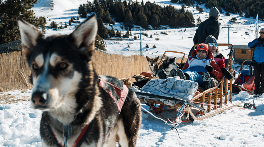 Una de les imatges del dia recollida als sectors de Soldeu El Tarter de Grandvalira (@citric)