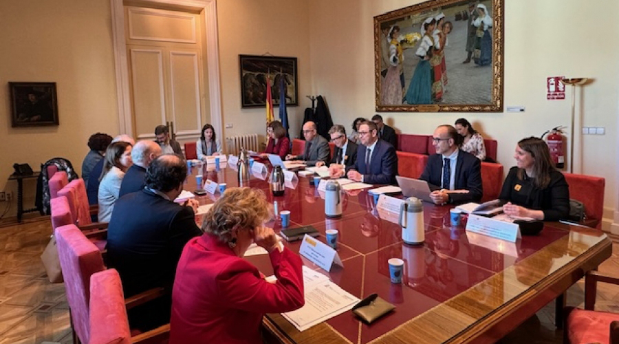 Reunió de la Comissió Mixta hispanoandorrana d’educació celebrada aquest matí a Madrid (SFGA)