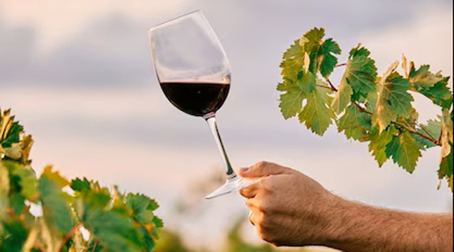 Un tast de vins és una bona excusa per a fer una escapada (freepik)