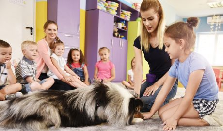 Una sessió de teràpia assistida amb un gos