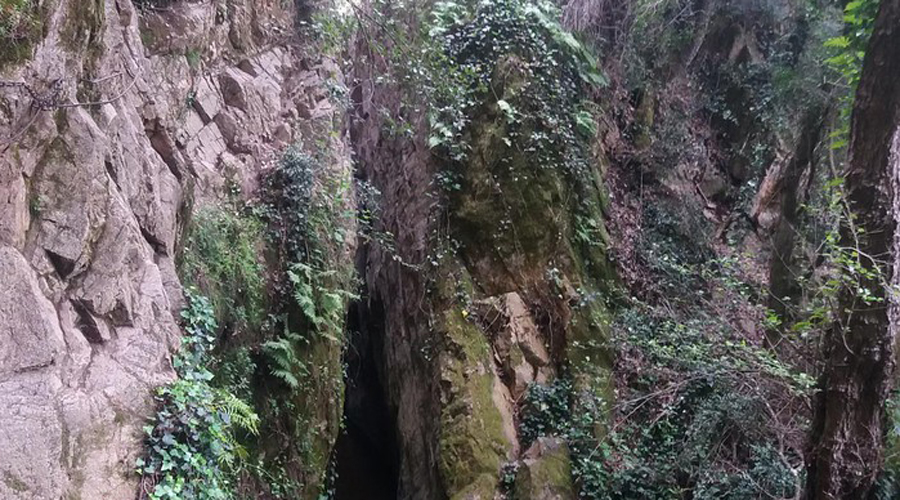 La de Romanyà de la Selva és una via ferrata apta per a nens (Wikiloc)