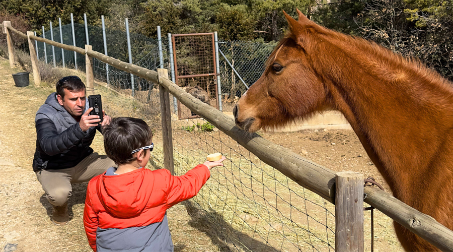 Un infant donant un tros de pa sec a un dels animals del refugi (Zoo del Pirineu)