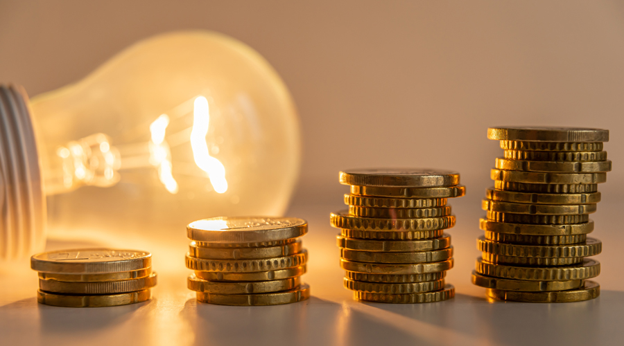 Despesa en electricitat (Daniele Mezzadri)