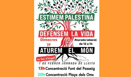 Cartell anunciant les concentracions a favor de Palestina a la Seu
