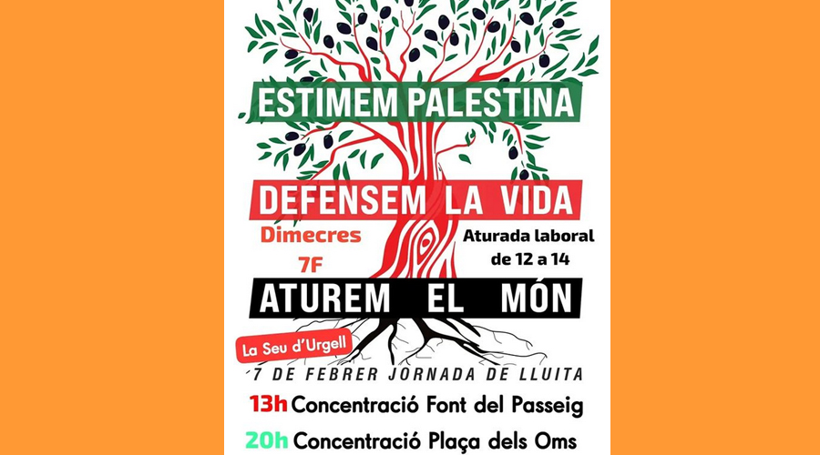 Cartell anunciant les concentracions a favor de Palestina a la Seu (RàdioSeu)