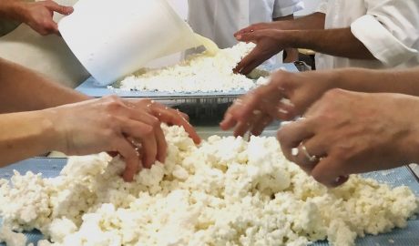 Una formació relacionada amb el sector lacti