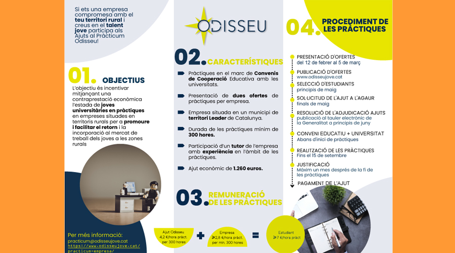 Díptic informatiu sobre el Pràcticum Odisseu 2024 (CCAU)