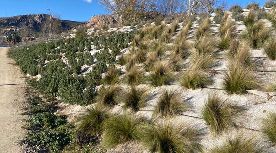 Un jardí amb una manta antiherba biodegradable