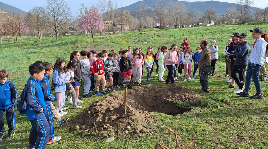 Infants celebrant el Dia Mundial de l'Arbre a la Seu (Aj. la Seu)