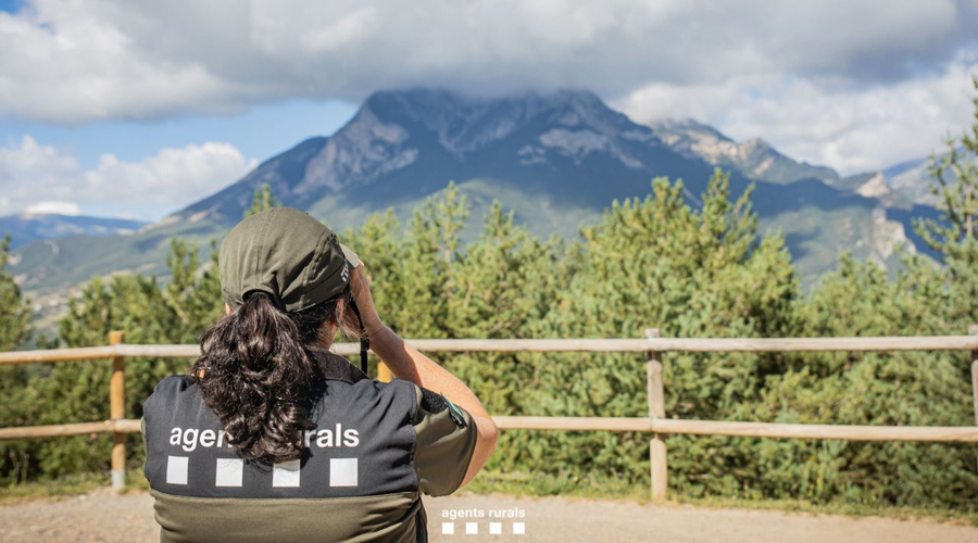 Una agent rural fent tasques de vigilància a la natura (Govern.cat)