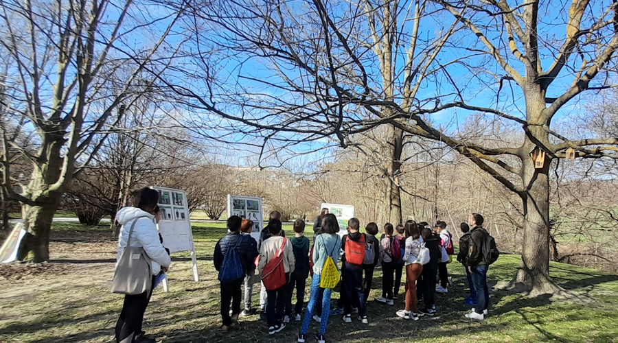 Una celebració anterior del Dia de l'Arbre a la Seu (Aj. la Seu)