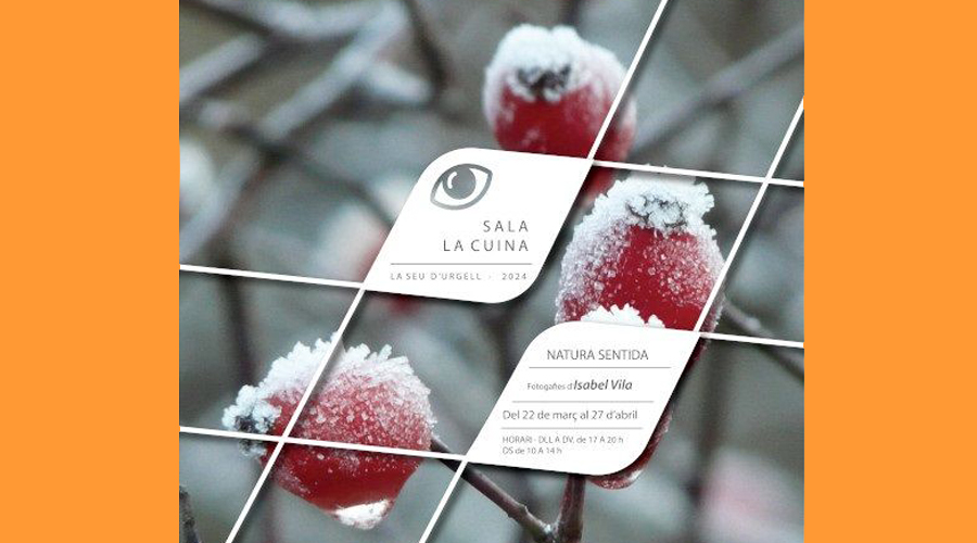 Cartell anunciant la mostra d'Isabel Vila a la Seu (Aj. la Seu)