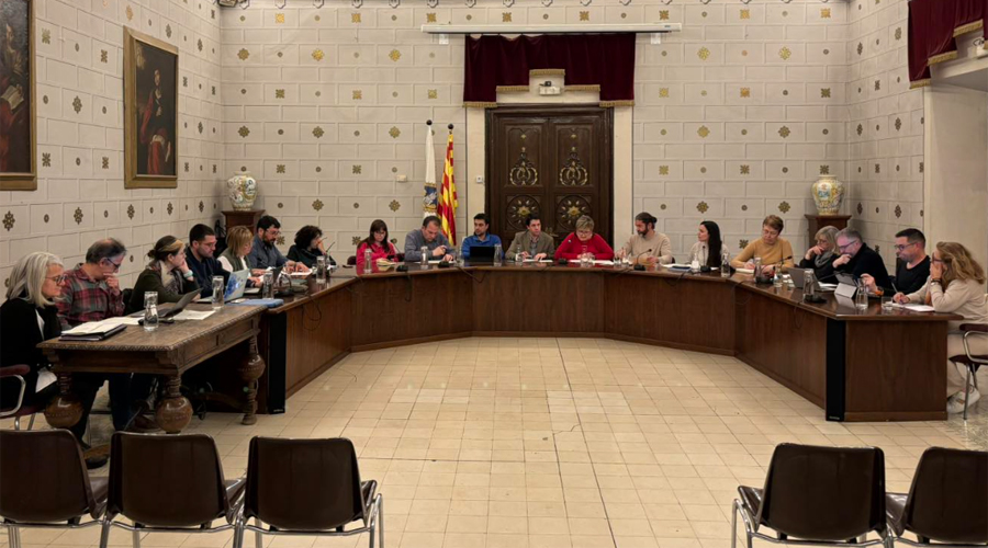 El ple municipal d'aquesta setmana celebrat a la Seu (RàdioSeu)