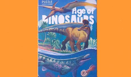 Capsa del puzle Age of dinosaurs