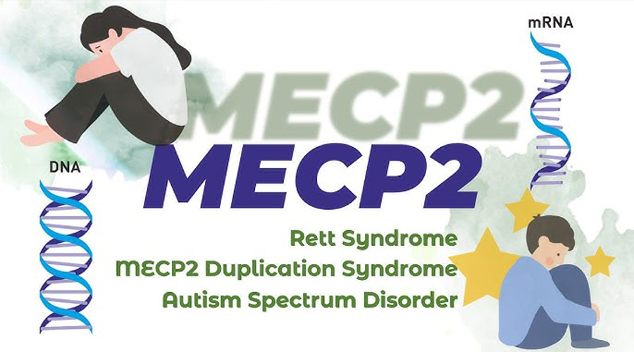 La síndrome de la duplicació MECP2 és una malaltia minoritària que no té cura ni tractament (HSJD)