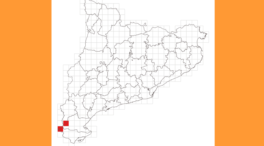 La somereta de Sánchez-Gómez es localitza en poquíssims indrets (Govern.cat)