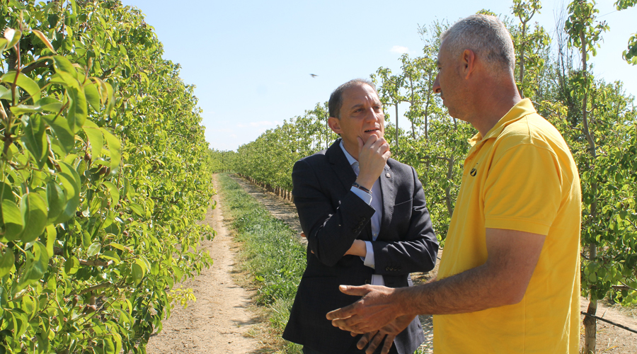 El Subdelegat del Govern espanyol a Lleida, José Crespín, visitant una de les finques (Subdelegació)