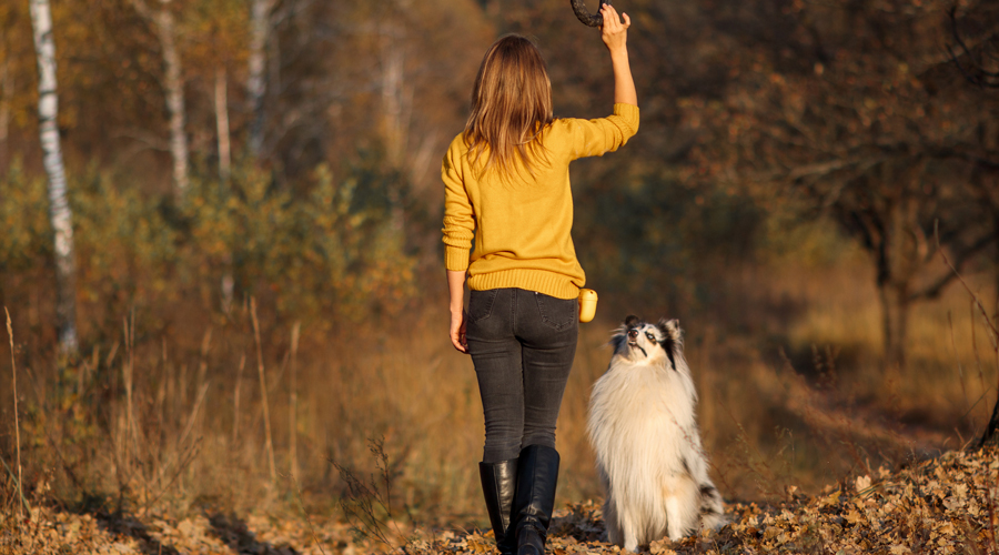 Una dona jugant amb el seu gos (AMIC)
