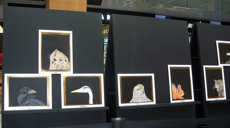 Plafons amb algunes de les pintures de l'exposició de Xavier Garcia Daza