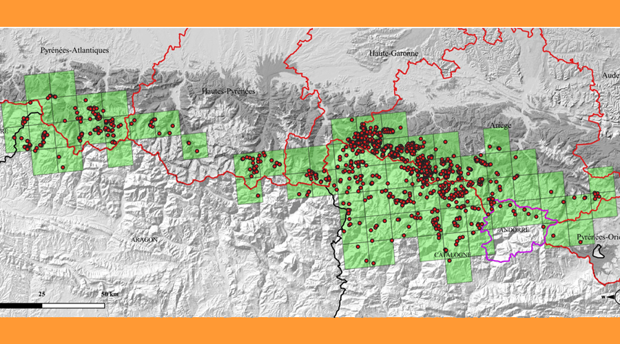 Distribució per quadrícules UTM 10 x10 km de l’os bru als Pirineus, en 2023: àrea de distribució total de 7.100 km² (1.800 km² als Pirineus occidentals i 5.300 km² als Pirineus centrals)