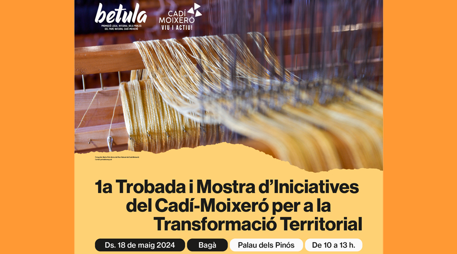Cartell de la Primera Trobada i Mostra d'Iniciatives per a la Transformació Territorial del Cadí-Moixeró