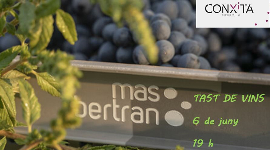 Cartell anunciant el tast de vist i maridatge de productes a la Seu (Aj. la Seu)