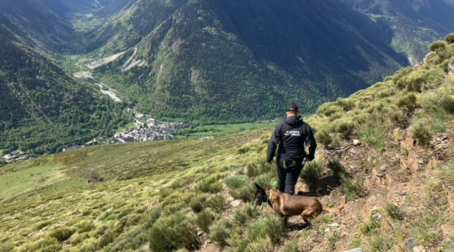 Un agent de Medi Ambient vigilant la zona on es va donar l'atac d'un os a la Val d'Aran (Foto: Conselh Generau d'Aran)