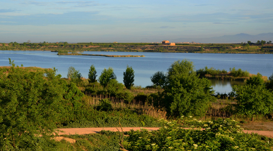 Vistes sobre l'estany d'Ivars i Vila-sana. Foto: Àngela Llop / surtdecasa.cat