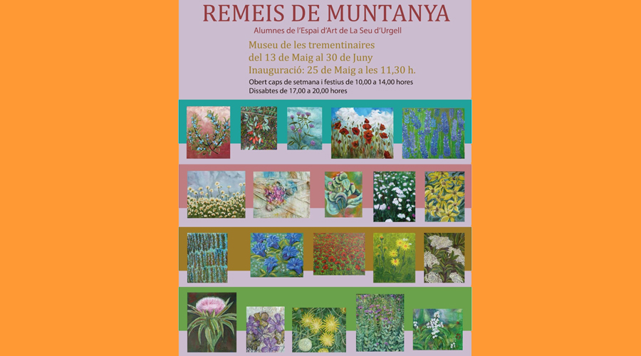 Cartell anunciant l'exposició "Remeis de muntanya" (Aj. la Seu)