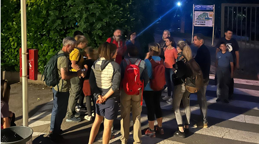 Sortida nocturna, a la Seu, per a observar ratpenats (CCAU)