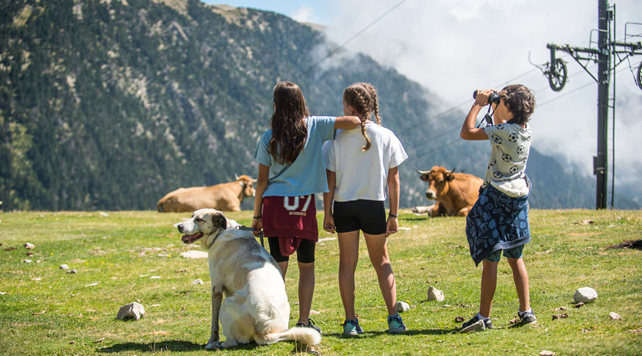 Activitats a la natura a Vallter (Toni Grases)