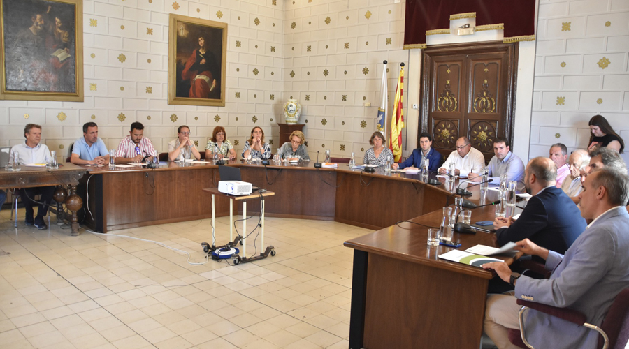 El Consell d'Alcaldes de l'Alt Urgell reunit a la sala de plens de l'Ajuntament de la Seu (RàdioSeu)