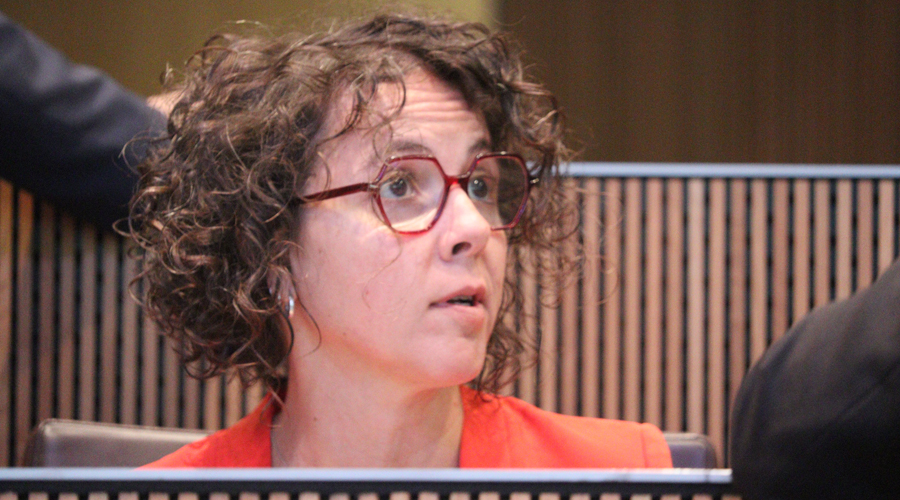 La presidenta del Grup Parlamentari Socialdemòcrata, Judith Casal (PS)